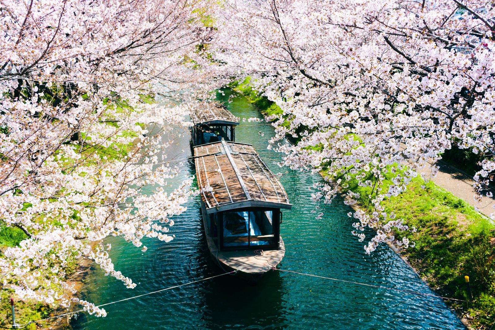 When Is the Best Time to Visit Japan for Worldwide Travelers
